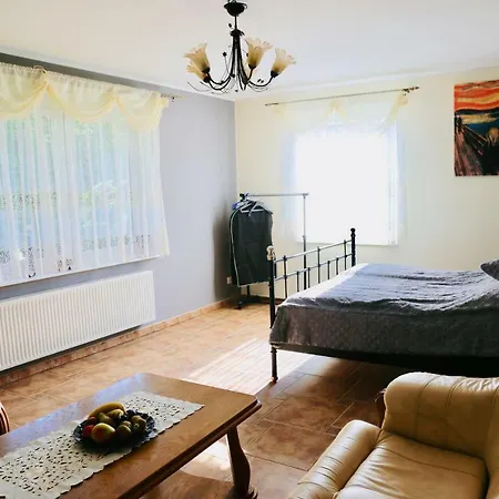 Skelnik's House *