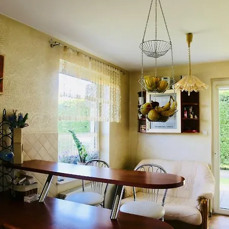 Skelnik's House *